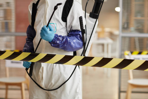 Professional Sewage Cleanup technician working in Davis, CA